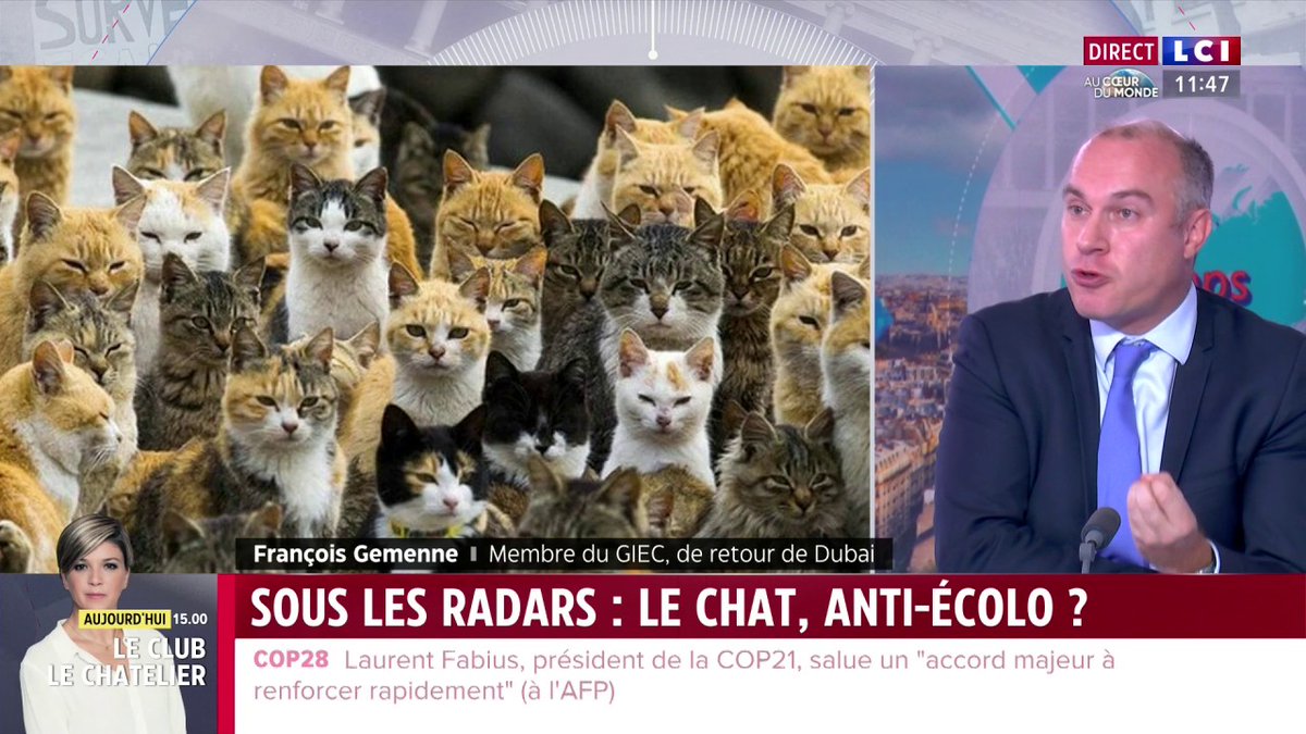 "Le chat est une catastrophe pour la biodiversité, le chien est une catastrophe pour le climat", François Gemenne, membre du GIEC