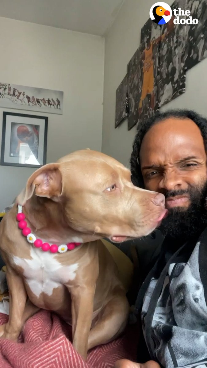 People wouldn't let their dogs play with this pittie, so her dad did this ❤️