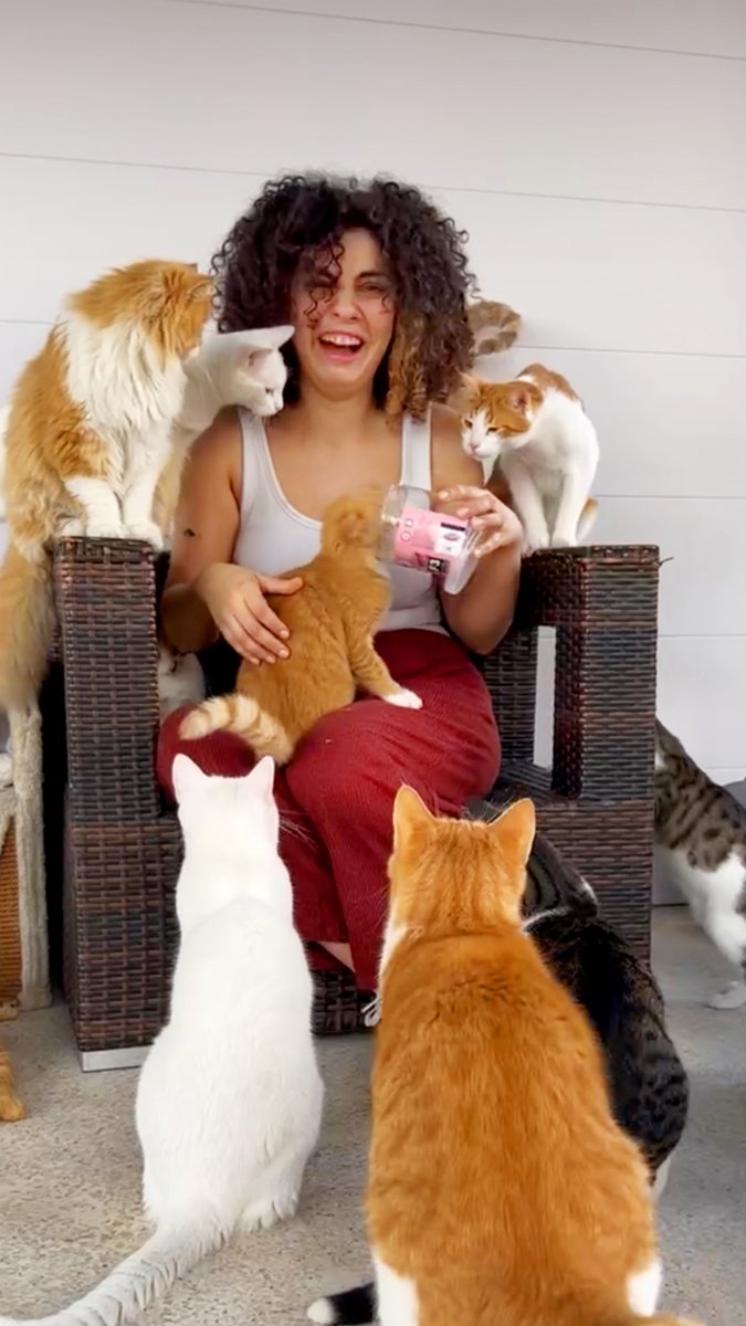 Girl rescued over 200+ stray cats and dogs and decides to build them a shelter when there is no more space for them at her house ❤️