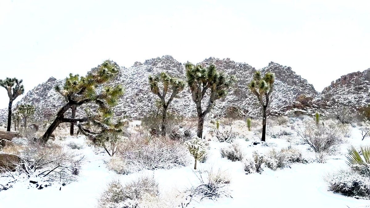 From all of us here at Interior, we wish you a happy, healthy and joyous holiday season!