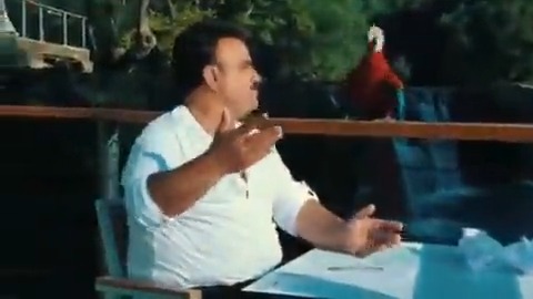 Klipten aldığı yevmiyenin hakkını sonuna kadar veren papağan