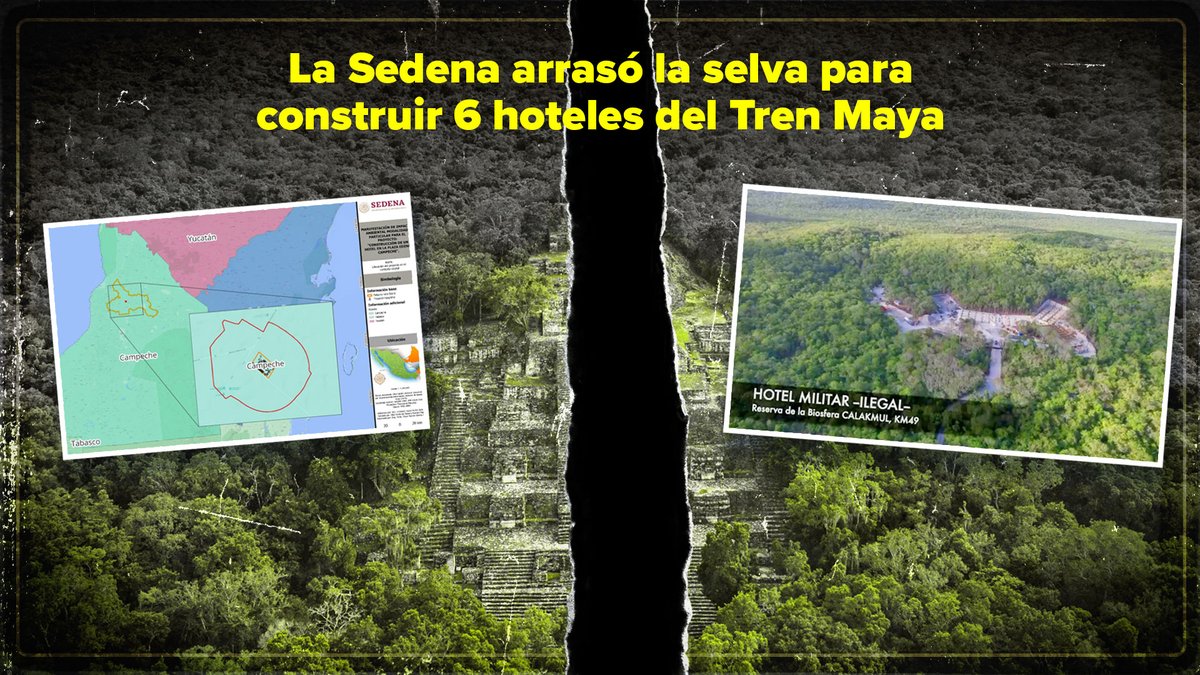 #Exclusiva Seis hoteles construidos por la @SEDENAmx para alojar el turismo por el Tren Maya arrasaron con grandes extensiones de selva y cinco de las obras se realizan sin estudios de impacto ambiental. Hilo 🧵.