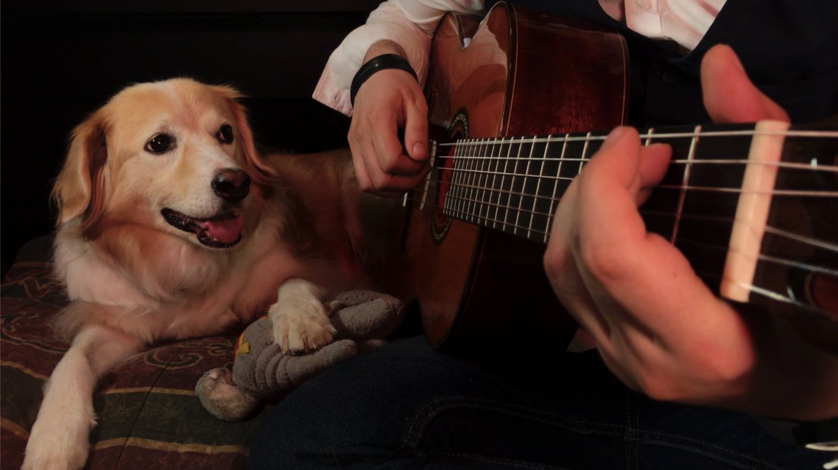 Celebrating Maple's birthday today with one of my favorite videos with her. My best friend, my companion through everything for 12 years, I am forever thankful for the time we were able to spend together. You are dearly missed, Maple ❤️
