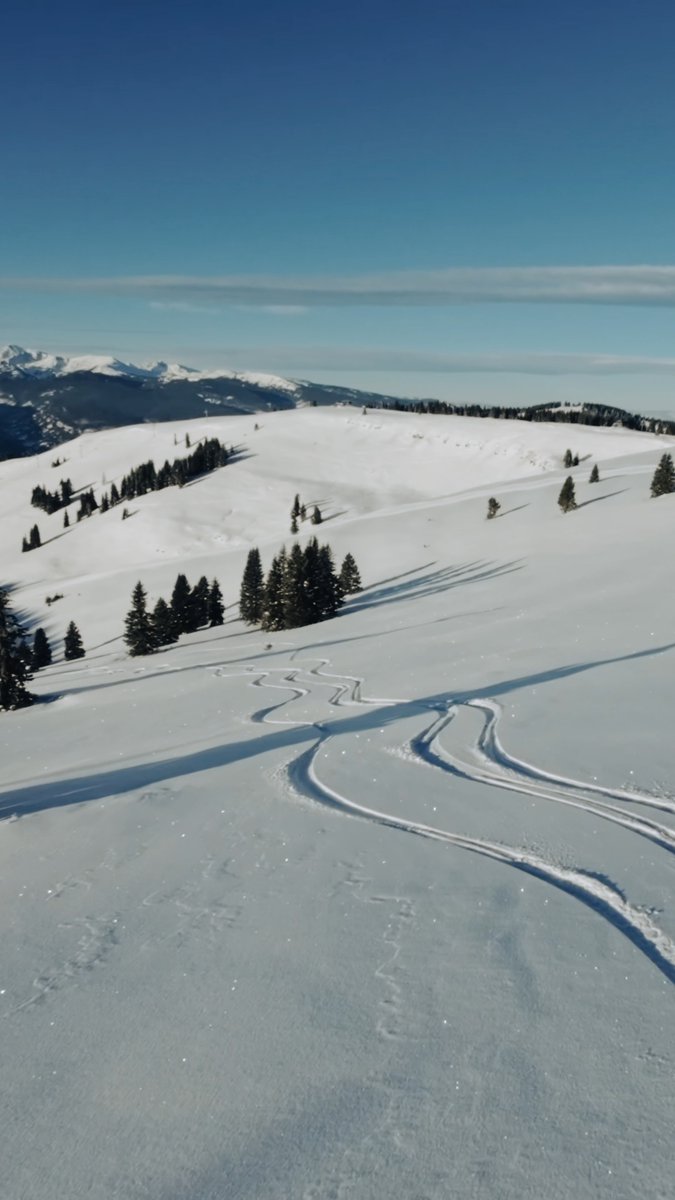 ACT II: China Bowl & Tea Cup Bowl are now open for the season. Enjoy big skiing in China Bowl or hidden gems in Tea Cup Bowl.