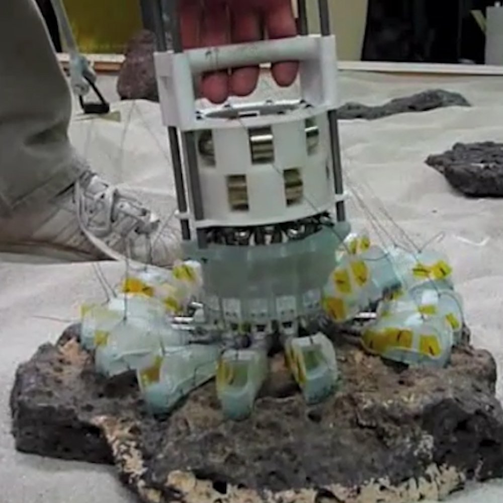 This video presents microspine-based anchors being developed for gripping rocks on the surfaces of comets and asteroids, or for use on cliff faces and lava tubes on Mars [📹 Insider Tech]