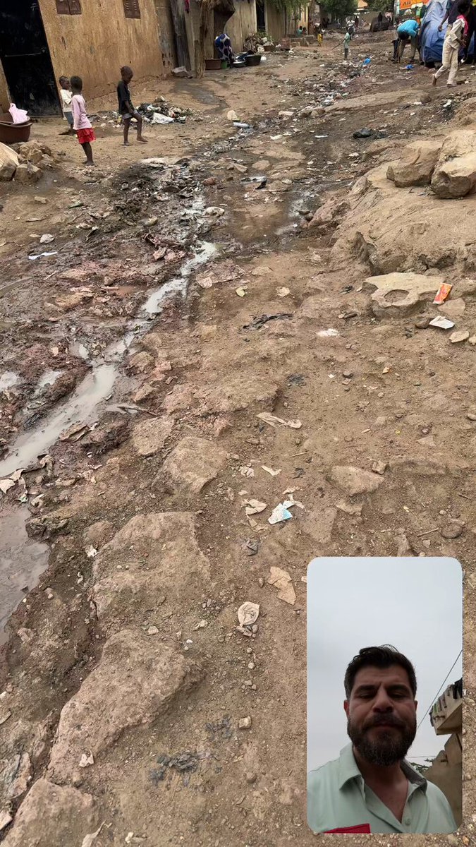 Sokak köpeği problemimize Afrikalılar bile gülüyor 😔