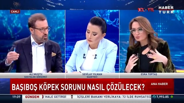 Başıboş köpek sorunu çözülecek mi? Sosyolog-Girişimci Ali Muştu #AnaHaber'de Esra Toptaş'a yorumladı.