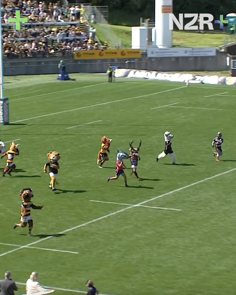 The most chaotic mascot race you'll ever see ๐
What happens when 16 provincial unions mascots line up for a race over 100 metres? Watch for free on NZR+ ๐ #AllBlacks