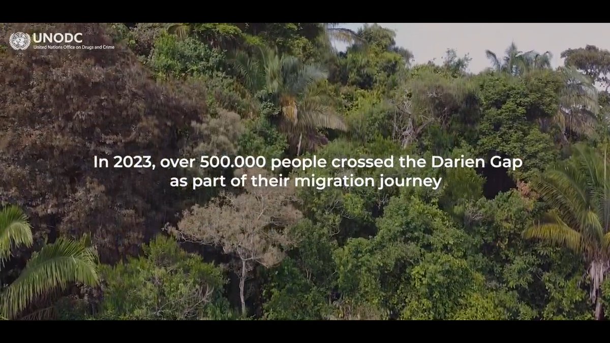 “If hell exists, it is this jungle” This #MigrantsDay, we draw attention to the 500,000+ people who risked their lives crossing the Darien Gap in search of a better life. 🔁💙to help us raise awareness! 🔗