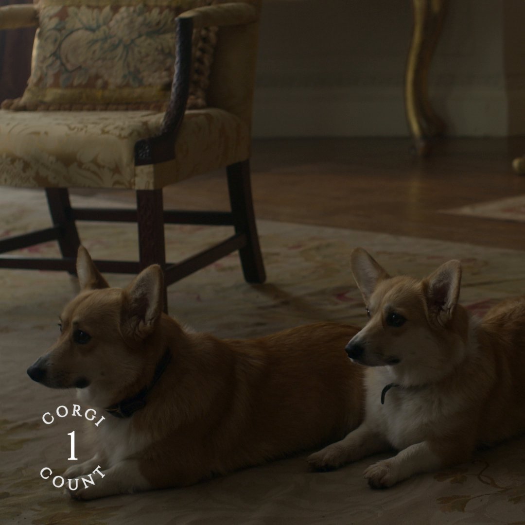We all know who the ✨real✨ stars of The Crown are.