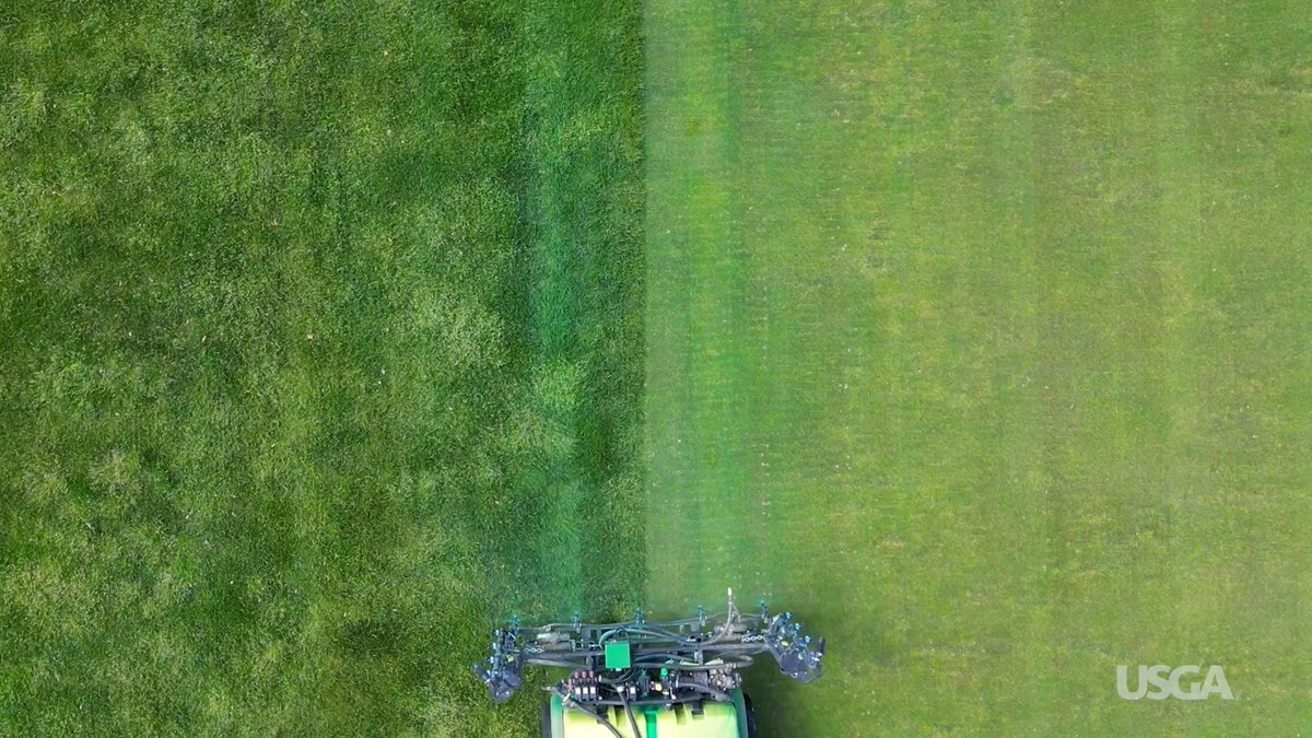 Things have come a long way since the days of sheep and rabbits handling the mowing! USGA Green Section