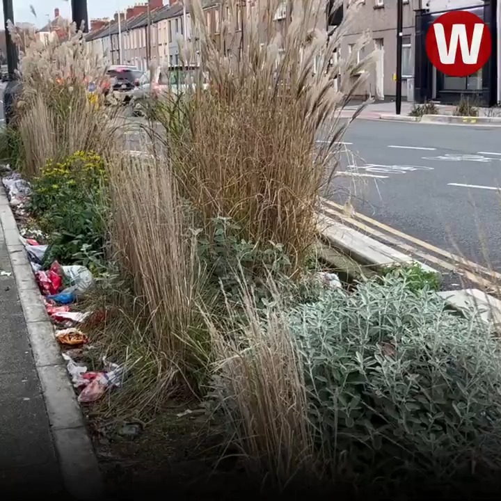 This is the awful state of Cardiff's rain gardens just months after they were built. They were created to promote biodiversity - but are strewn with litter and covered in tyre marks 😔
