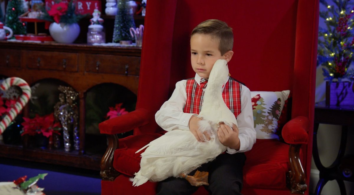 Was this delightful little boy Jackson #NaughtyorNice this year!?