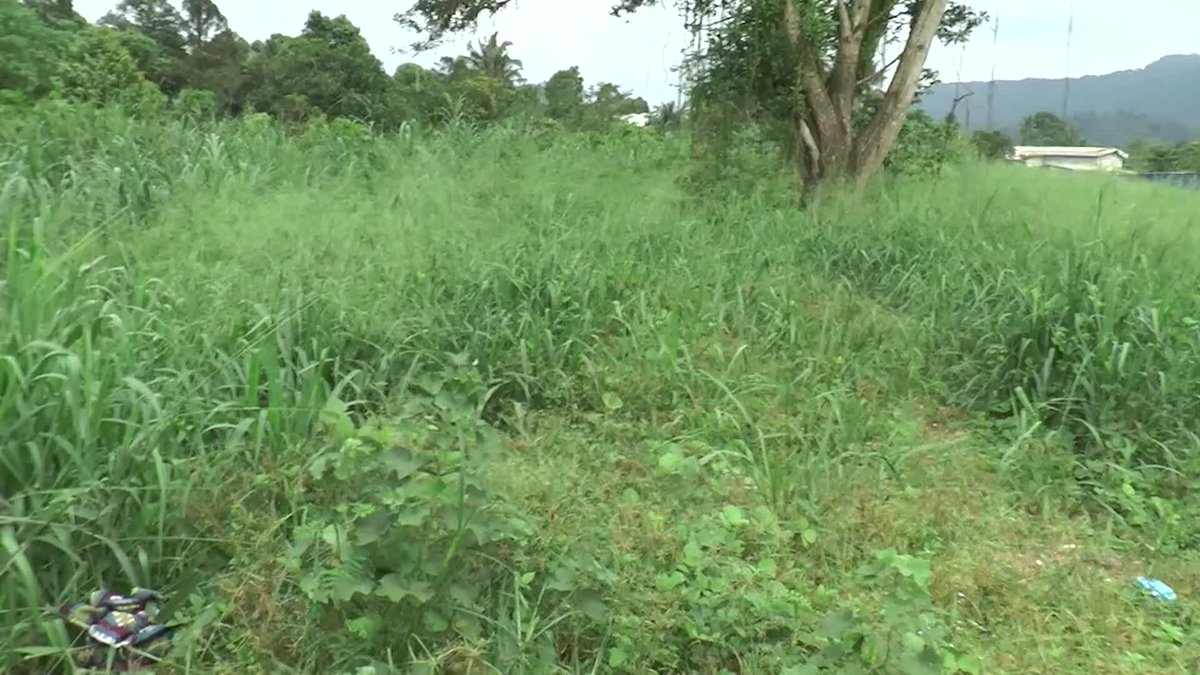 "Saya nampak dia heret mayat ke belakang rumah" - Saksi kejadian Saksi kejadian bunuh di Kampung Sungai Choh, Rawang, semalam mendakwa ternampak suspek mengheret mayat mangsa ke belakang rumah.