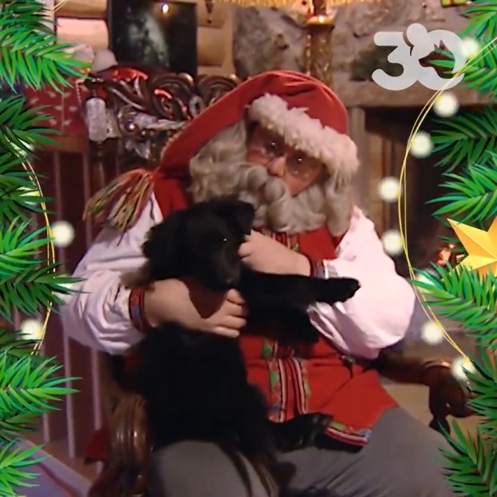 Prendre soin de la nature et des animaux… Tel est le vœu du #PèreNoël ! Bon réveillon de Noël à tous 💫
