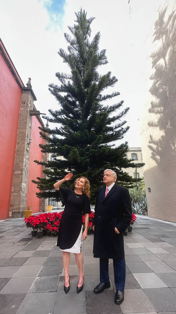 ¡Feliz Navidad! 🌲🇲🇽