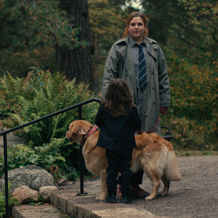 the swedish dramedy Thank You, I'm Sorry is now streaming on netflix🦮