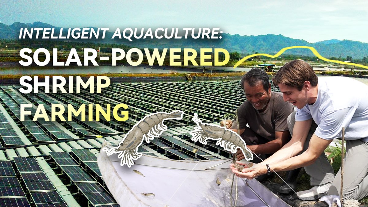 Clean power solutions are safe, reliable, and sustainable. #Huawei is helping industries in the Philippines transform with digital, intelligent, and green development. Watch now and see a successful model for the aquaculture industry. #BetterTogether #DigiTell #FusionSolar Huawei Digital Power Huawei FusionSolar