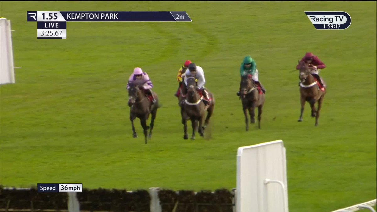 ✈️ Rate Constitution Hill's come back in the Christmas Hurdle at Kempton out of 🔟....