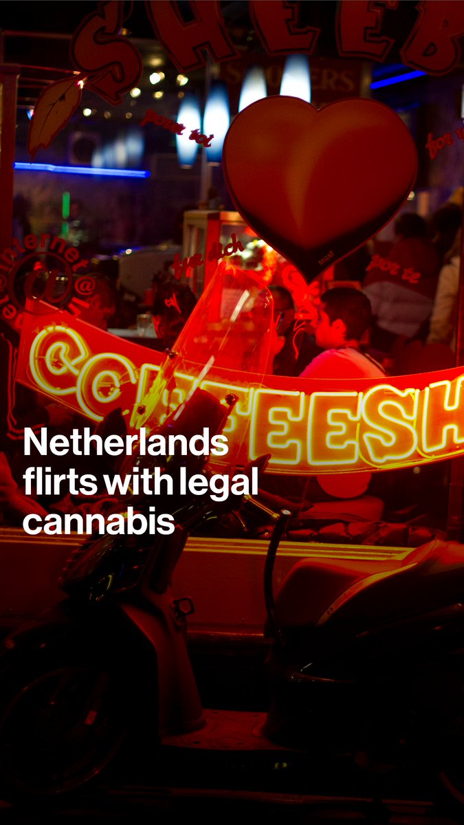 It’s a common misconception that marijuana is legal in the Netherlands It’s not, but an official trial sets to regulate growers and distribution and bring cannabis commerce out of the shadows. April Roach explains