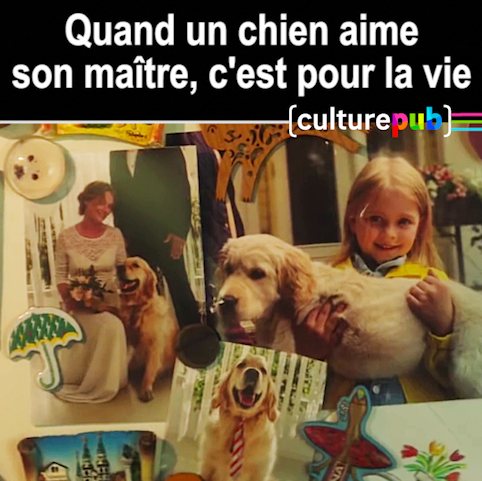 Un animal de compagnie, ça vous change la vie (30 millions d'amis)