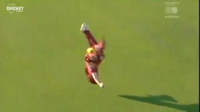 Queensland legend Adam Dale turns 55 today - is he the owner of the greatest outfield catch of all time? 🤔
