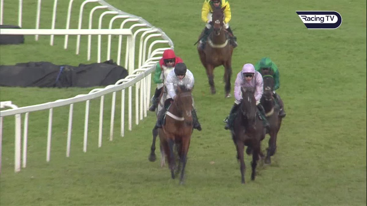 Legend! Happy retirement, Sceau Royal 💚 🐎54 runs 🥇17 wins 🏆 Henry VIII Novices' Chase 🏆🏆🏆 3 x Elite Hurdle 🏆Shloer Chase 🏆Game Spirit Chase 🏆Lightning Novices' Chase 💰£723,648 in prize money ⭐️A superstar for Alan King, Daryl Jacob, @simon_munir and Isaac Souede