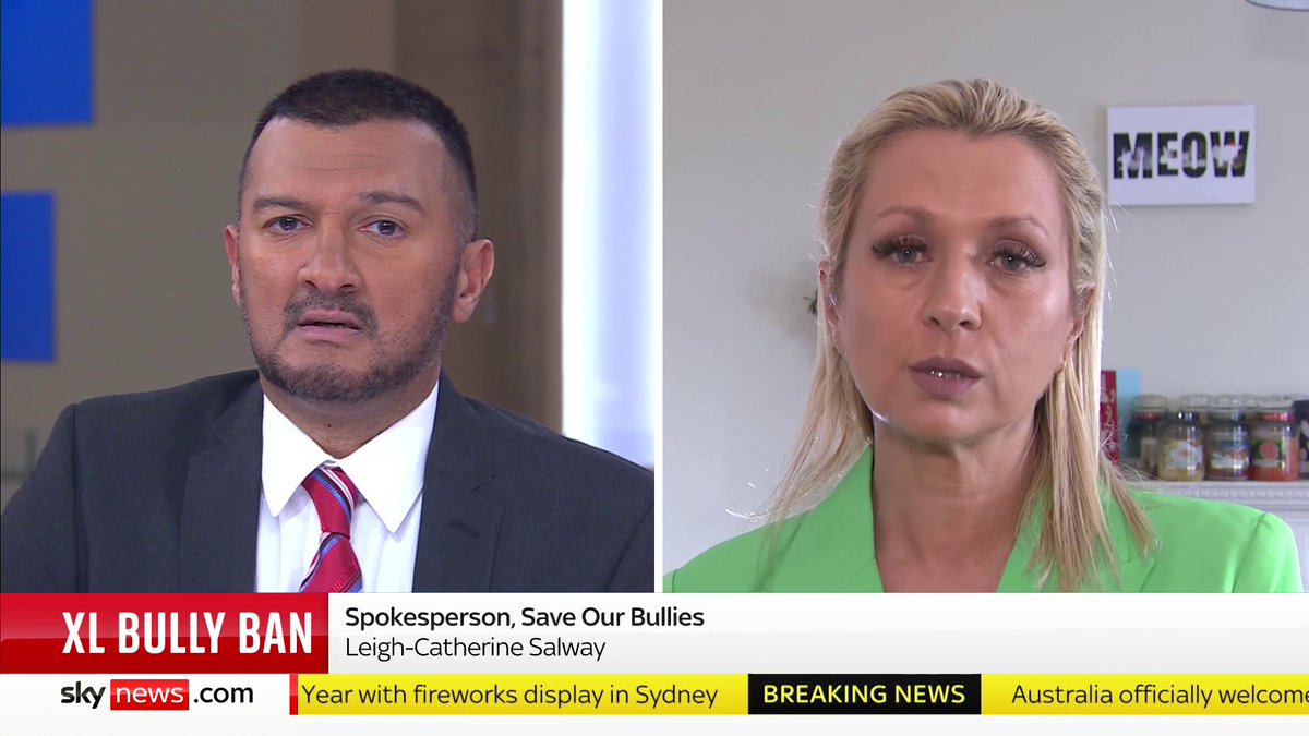 "It needs to be a ban on bad owners, not dogs." Leigh-Catherine Salway from Save Our Bullies calls attacks by XL bully dogs 'sensationalised' by the media and believes the new rules banning the breed is a 'knee-jerk' reaction. 📺 Sky 501