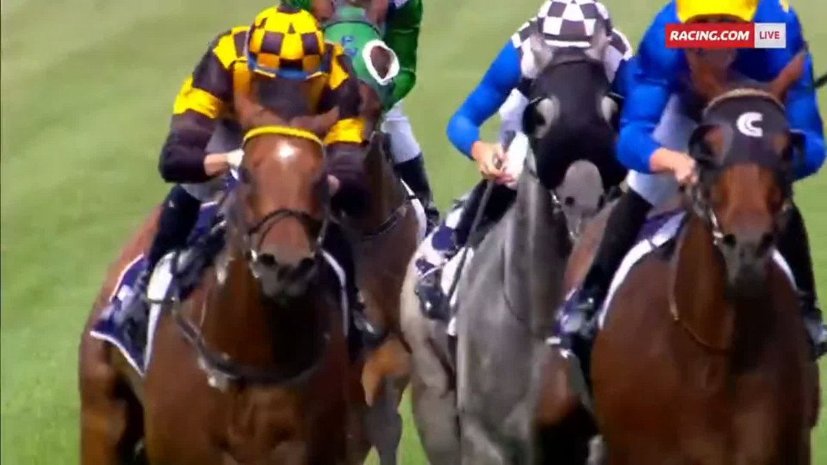 "Billy Egan said yes, please & thank you." The Sultan takes a look at the quality racing from the past few days 🐴