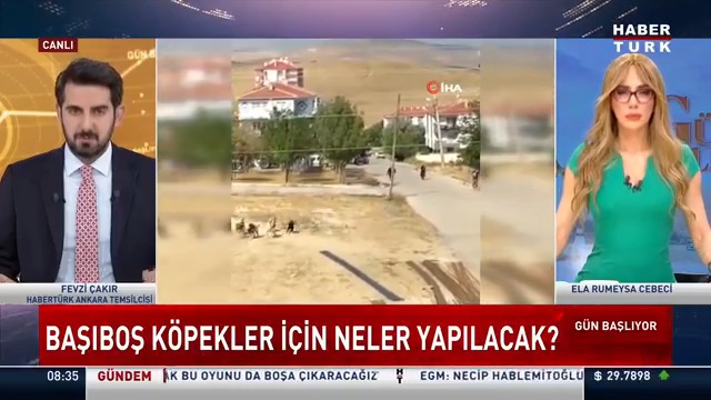 📌Başıboş köpekler için neler yapılacak? Çözüm için gündeme nasıl çalışmalar geliyor? Habertürk Ankara Temsilcisi Fevzi Çakır #GünBaşlıyor'da Ela Rumeysa Cebeci 🇹🇷'ye anlattı.