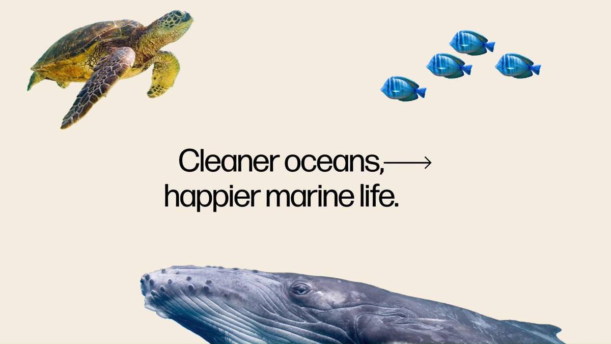 Promoting healthier oceans and enhancing the well-being of marine life are integral steps in fostering a more sustainable world. Learn how our commitment to sustainable design and innovation are making a positive impact: #HPGoBeyond