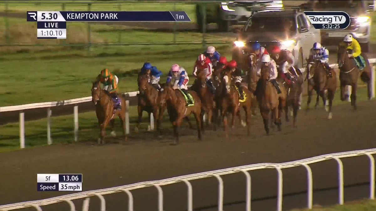 🤯 150-1 WINNER AT Kempton Park Racecourse! 🤯 Lovealot Bear ran in two bumpers in Ireland before joining David Evans, and gets up on the line to score on her Flat debut in Britain at huge odds under Finley Marsh! 😲