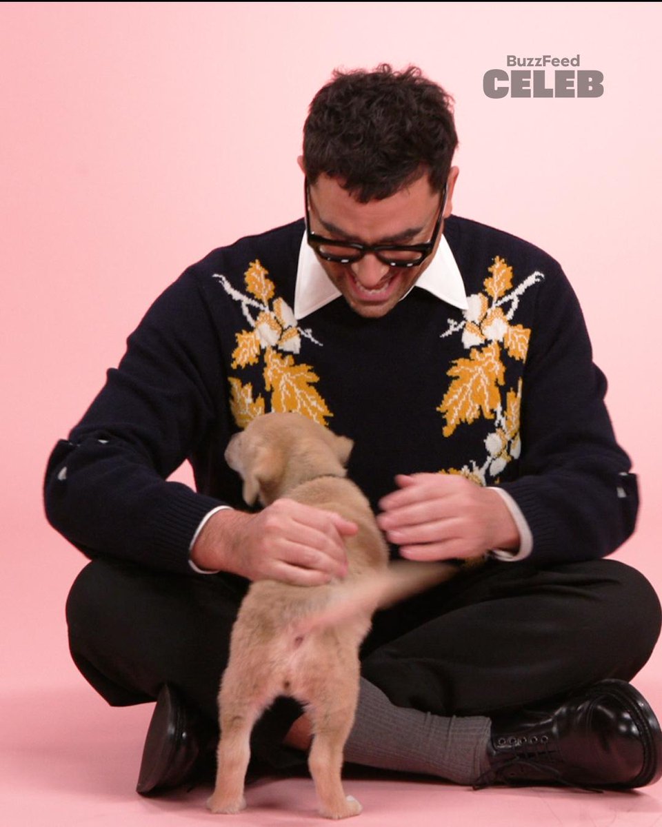 We can have a nice little nap together 🥹 #DanLevy puppy interview out tomorrow! #PuppyInterview
