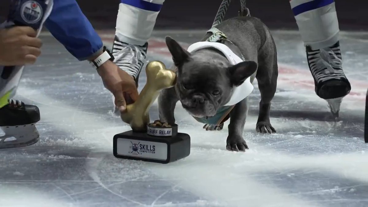 Without further ado, the 2024 #Oilers Skills Competition Ruff Ruff Relay 🐾