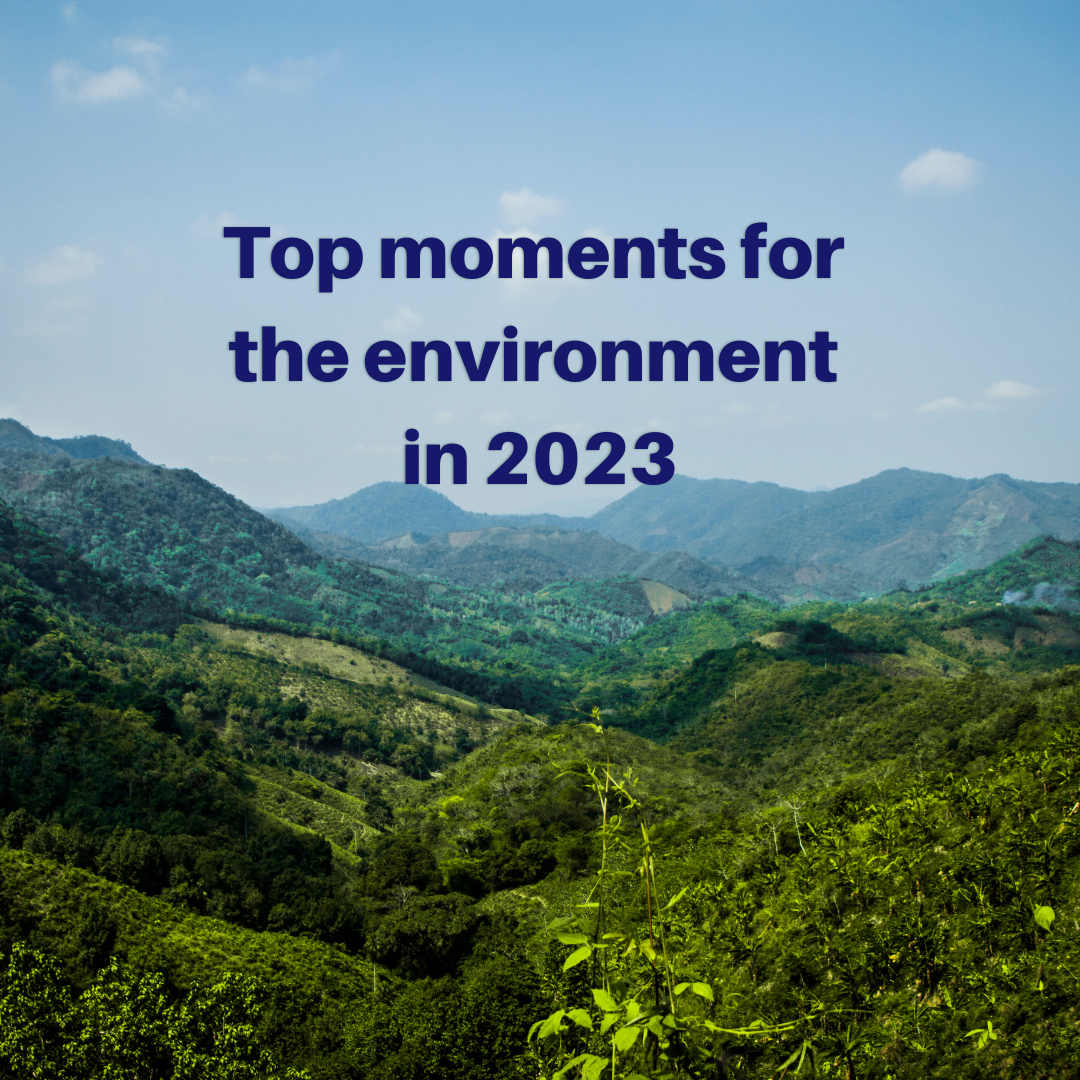 Amidst record heat and devastating floods, 2023 unveiled glimpses of hope. Here is a closer look at the biggest environmental moments of 2023 and what they hold for the future.