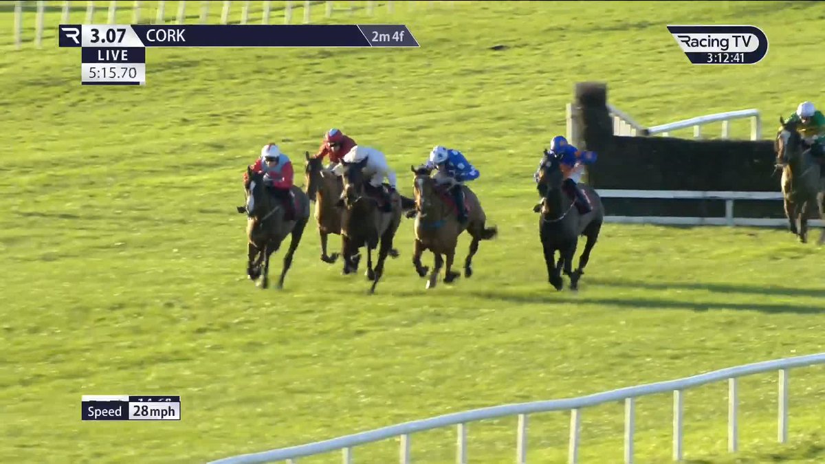 Now 12 years young, yet two wins in eight days for R'evelyn Pleasure! Cork Racecourse