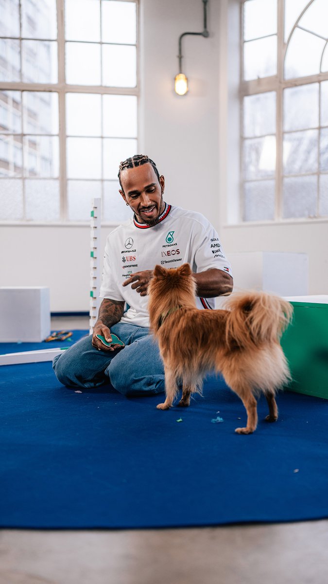Lewis' dream birthday 🤩🎂