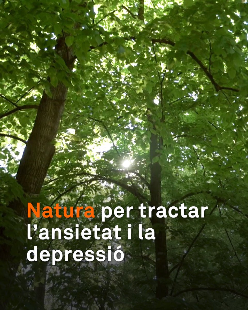"M'ha servit per no haver de prendre’m la pastilla per dormir.” Participa en un estudi sobre els efectes de la natura per tractar l’estrès, l’ansietat i la depressió. Es fa als boscos de la Garrotxa i l’han impulsat professionals d'atenció primària