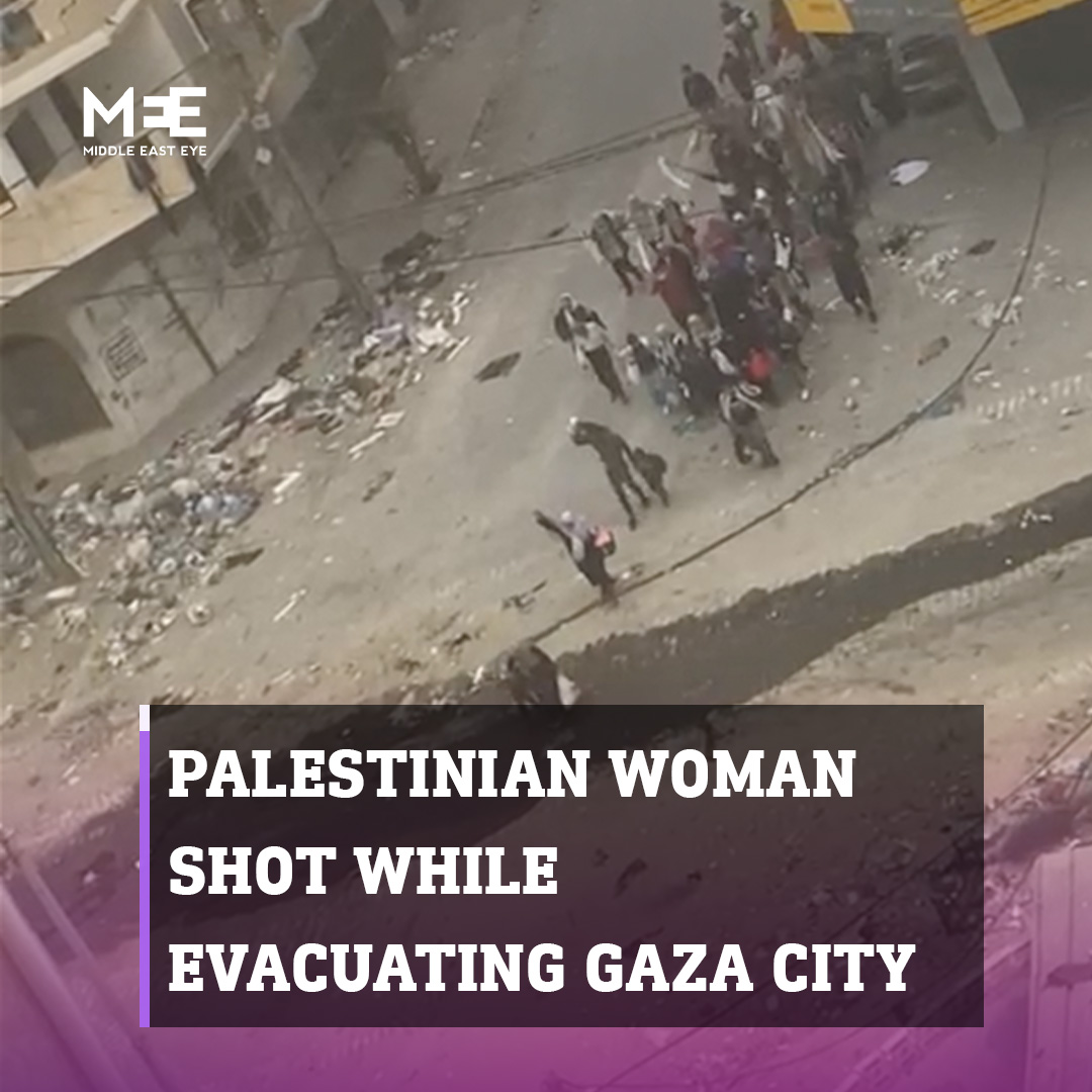 ما يبدو أنها امرأة فلسطينية مسنة تسير مع طفل وتحمل علمًا أبيضًا، قُتلت بالرصاص على يد جنود إسرائيليين في غزة.