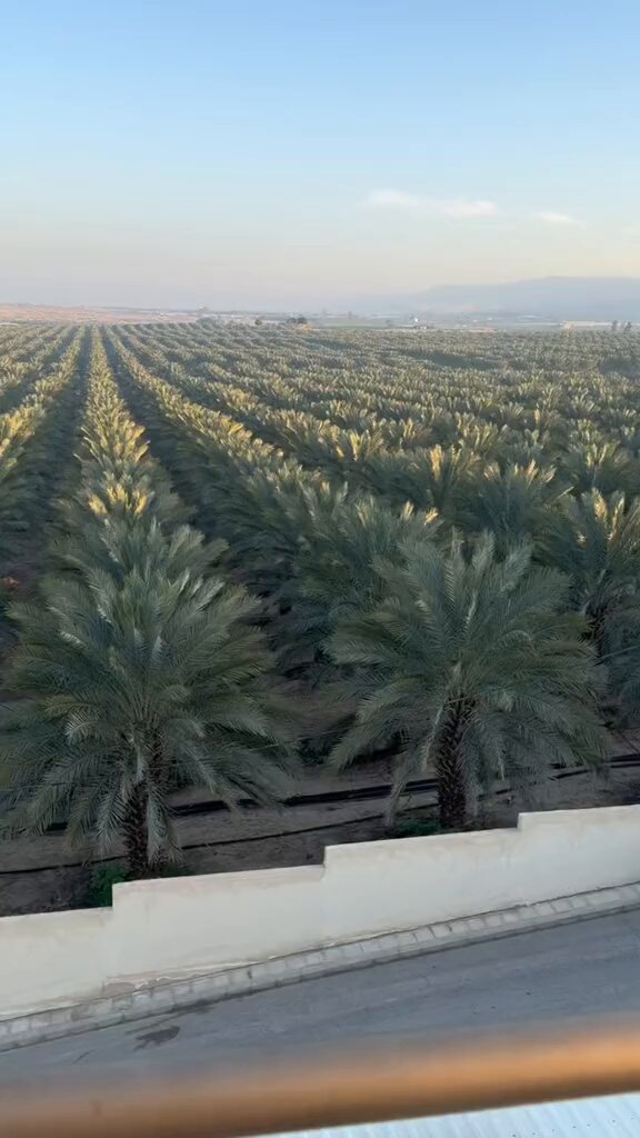 من أسرع واحد يقول لي مكان النخيل 🏝️ هذا وين بالضبط ؟