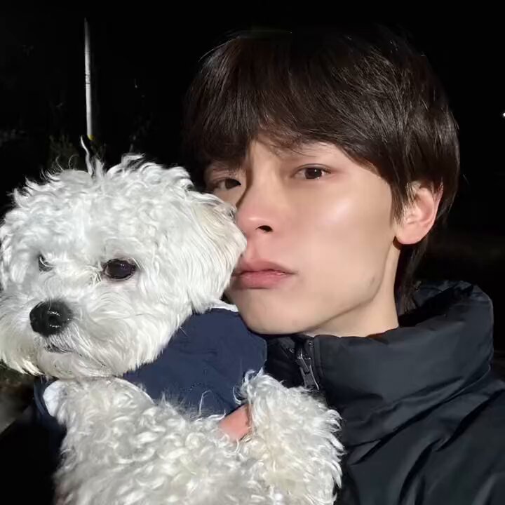 최대한 노력을 해야돼 노력할 수 있는 사람만 강아지를 키워야돼 예찬설 타래 ⬇️