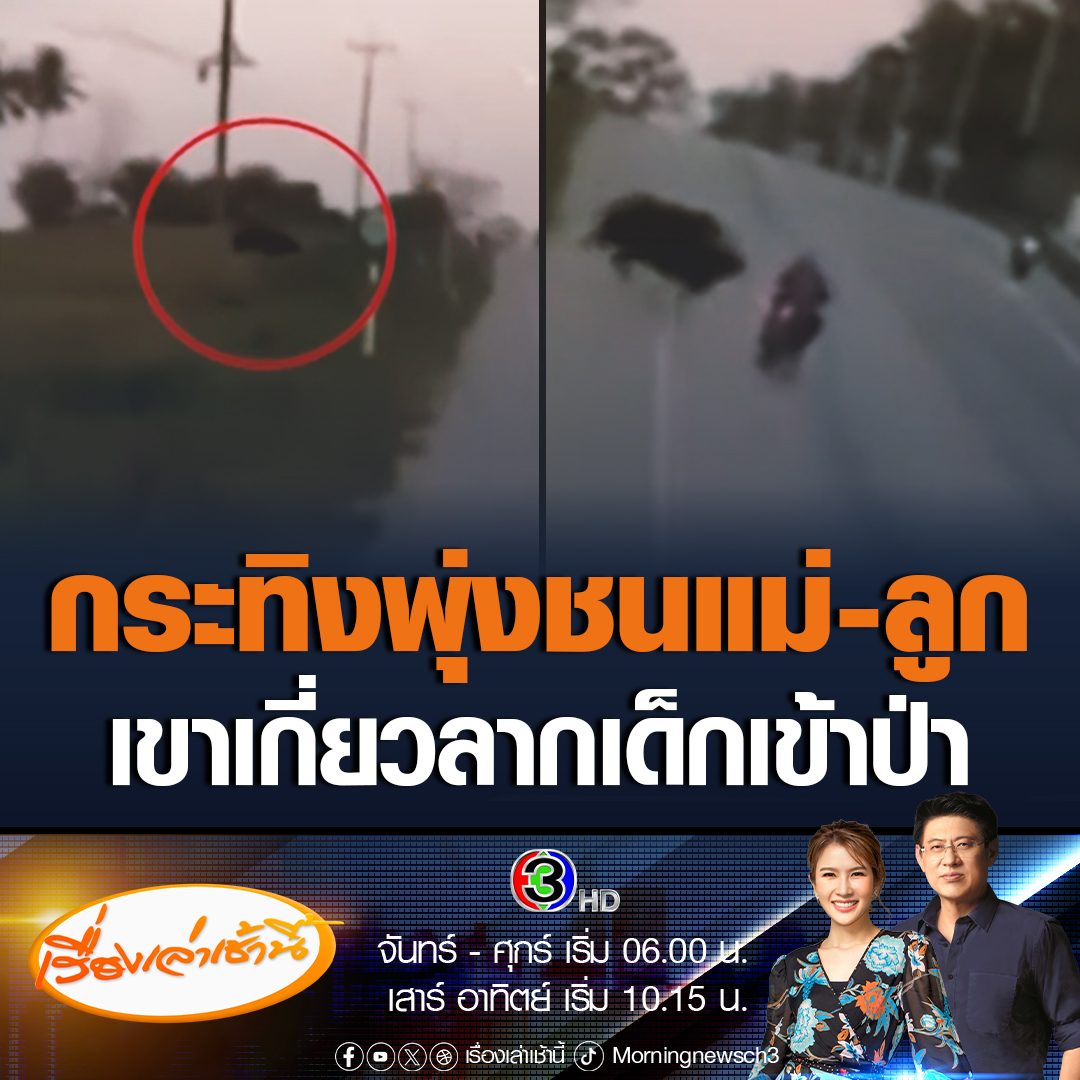 #เรื่องเล่าเช้านี้ แม่ขี่รถจักรยานยนต์พาลูกวัย 7 ขวบ ไปซื้อของขวัญวันเด็ก โดนกระทิงป่าวิ่งพุ่งชน หิ้วเด็กเข้าป่า เหวี่ยงตกพื้นเลือดกำเดาไหล #ข่าวช่อง3 #ข่าวภูมิภาค #นครราชสีมา #กระทิง