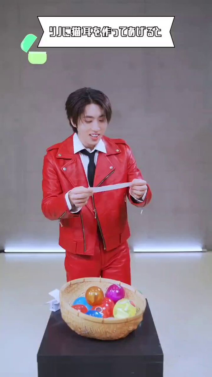 리노에게 고양이귀를 만들어주면 스테이는 올해도 맑음 🐱