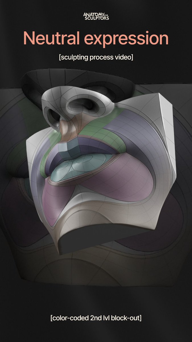 Borders don't exist in organic forms, so creating a block-out is based on Uldis' knowledge of anatomy and his subjective choices as an artist. The video shows his sculpting process and color-coding of a 2nd level block-out of the female lips. #anatomy #3dmodeling #characterdesign