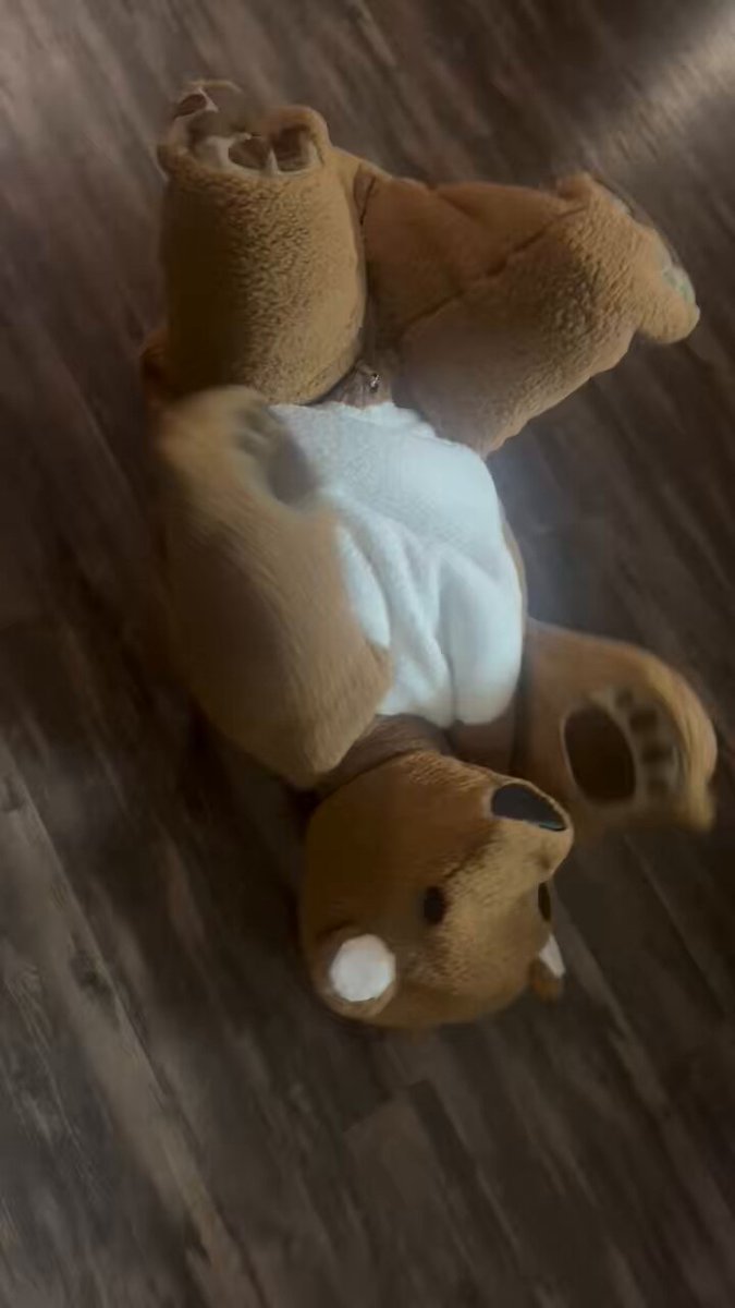 MooPup Bleu turned me into a plushie-much harder to cause trouble when you’re in a #bitchsuit 🐶🐾🧸 #gay #fetish #kink
