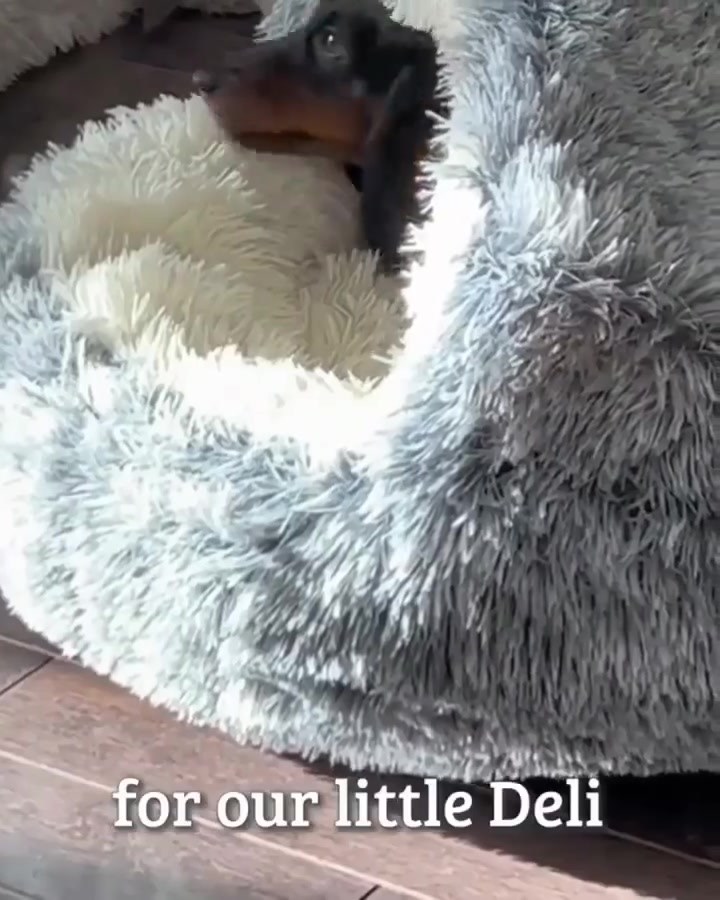 🐶😺 Give your furry pal the best cozy pet bed ever made!🐾🐾 Our cozy bed, with cotton lining and easy access, provides a calming effect, relieves stress, and is 100% non-slip and washable. Get yours now at 👉