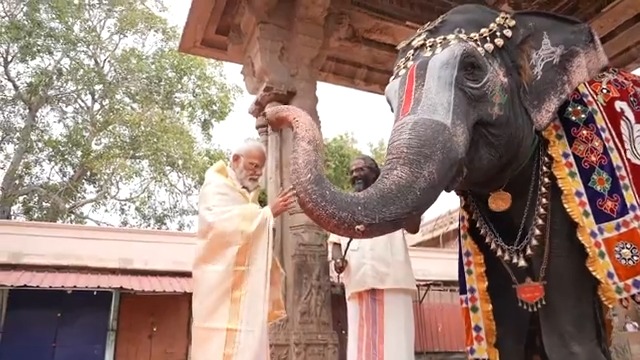 Blessed moments at the Sri Ranganathaswamy Temple.