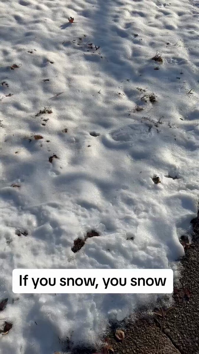 Everyone This Is So Important, PLEASE Take The Time To Listen To Or Read This Post American Electrician Drops Extremely Important Facts About What’s Being Put Into Our Atmosphere ☣️ “I was just out back with my dogs and I grabbed a handful of this stuff and I was going to let it melt on my hands just like this. Okay. One there's a big ice film on here. So I held it and I threw it down and what was left, I wanted to see if it was just going to melt and it did. I was about to throw it down and do this but then I smelled it. I'm an electrician. Whenever burning wire is in a wall or there's an arc, there's a smell that happens instantly. It's called ozone. You know that smell very well as an electrician. You walk in a house, you smell ozone. You know there's a fire. There's an electrical fire somewhere. So I'm trained to smell that smell. And I've never smelled it in snow. Now I'm Gen X and as a boy, 70s and 80s, after the rain you know you would smell an ozone smell and uh it was kind of natural you know it's a little bit just a little bit of ozone uh for just a few minutes but i've never ever ever smelled it in snow so i went and looked it up and uh i want to know the effects of ozone when 48 states all have snow at one time and it's coated in ozone what could that mean Well, when I looked it up, when I looked it up, what it said was that ozone has an effect on humans of irritation to the lungs, coughing, bronchitis, emphysema, all these things can be aggravated. And I know they're about to roll out disease X. They're about to say that everybody's got all these lung issues and all this. So, I started looking at what would cause snow to have this level of ozone to still be trapped in here like this. And ozone, oh so this is the thing, snow forms at around 50,000 feet. And your rain is usually 30,000 feet and lower. And I've always known that even when I was young. And then that changed in the late 90s. They were talking about the clouds were at 50,000 feet it was raining outside that's unnatural it doesn't make any sense and that's when you know i started to realize it was weather modification stuff going on but anyway the point is i started looking into it uh online and said that uh high levels of ozone would come from uh man-made things pollution this and that you know so so they've put something up there in the sky they put something up there to cause all this snow. And we, if you're on this channel, if you're on this page, you already know, or you should, that they're doing, they're manipulating everything. But what they've done is they have sent something down here to us. And we're all out here, it's all about to melt, and we're all gonna breathe it at one time. And it was online, it was saying that massive doses of ozone all at one time are extremely detrimental. They're gonna cause a lot of lung issues, a lot of wheezing, a lot of chest irritation. So, be prepared, watch out for it. Because I was looking around, I mean, it's like 34 here right now. And this isn't melting the way snow usually melts. Like there's a little bit of water right there. But normally, I mean, you know, you've got rivers running down the side of my street and you don't. It's like, it's like it's just evaporating. I've never seen snow melt in this fashion before. Like, my driveway's dry. Like, look at this. See the wet line? There's a wet line and a dry line. And it shouldn't be that way, you know? All this snow should be running together. But it's just right on the edge of the snow. And even down at the end of the snow. If all this snow's melting. That's bone dry. That's bone dry right there. That makes no sense, because the water should be coming down. So, there's weird things happening. It doesn't make sense when you look at it at first, but when you start putting all the pieces together, this is uh, this is the beginning of what they're trying to do. They've sent this down here on us.”