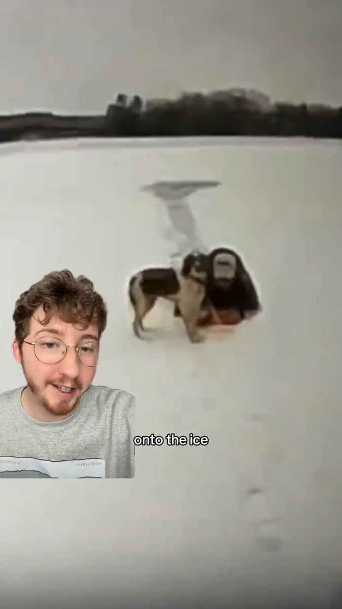 Dramatic video shows a dog named Ruby rescuing her human after he fell into an icy lake. We're giving her our highest rating, a 15/10.