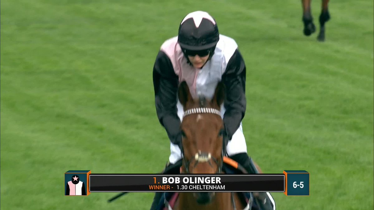 🚨DRAMA: I'll never forget GALOPIN DES CHAMPS falling at the last when 10L clear of Bob Olinger in the 2022 Turners Chase. He jumped like a stag, it was the most bizarre fall as he was in cruise control all the way round under Paul Townend.